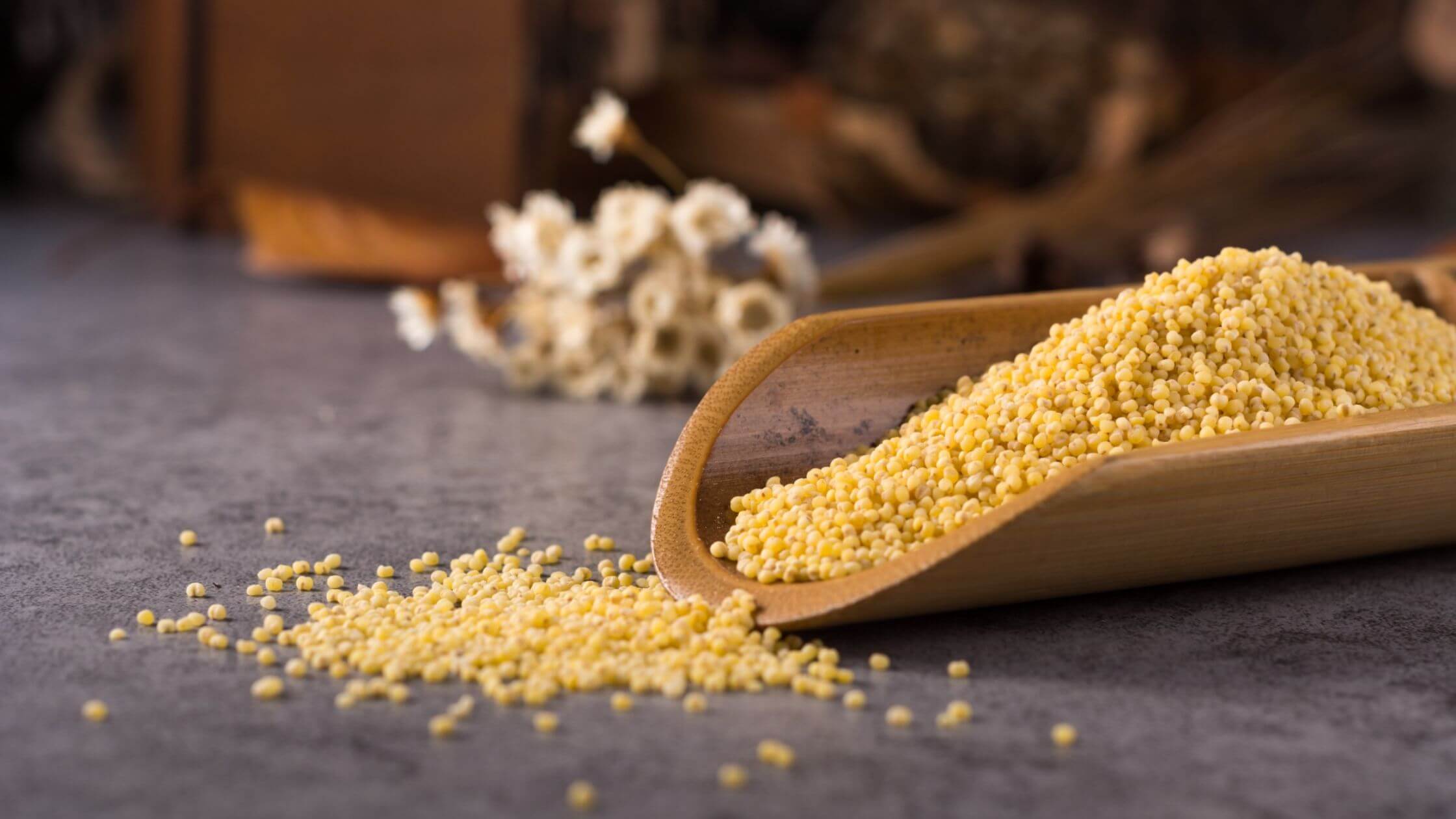 kodo millet benefits