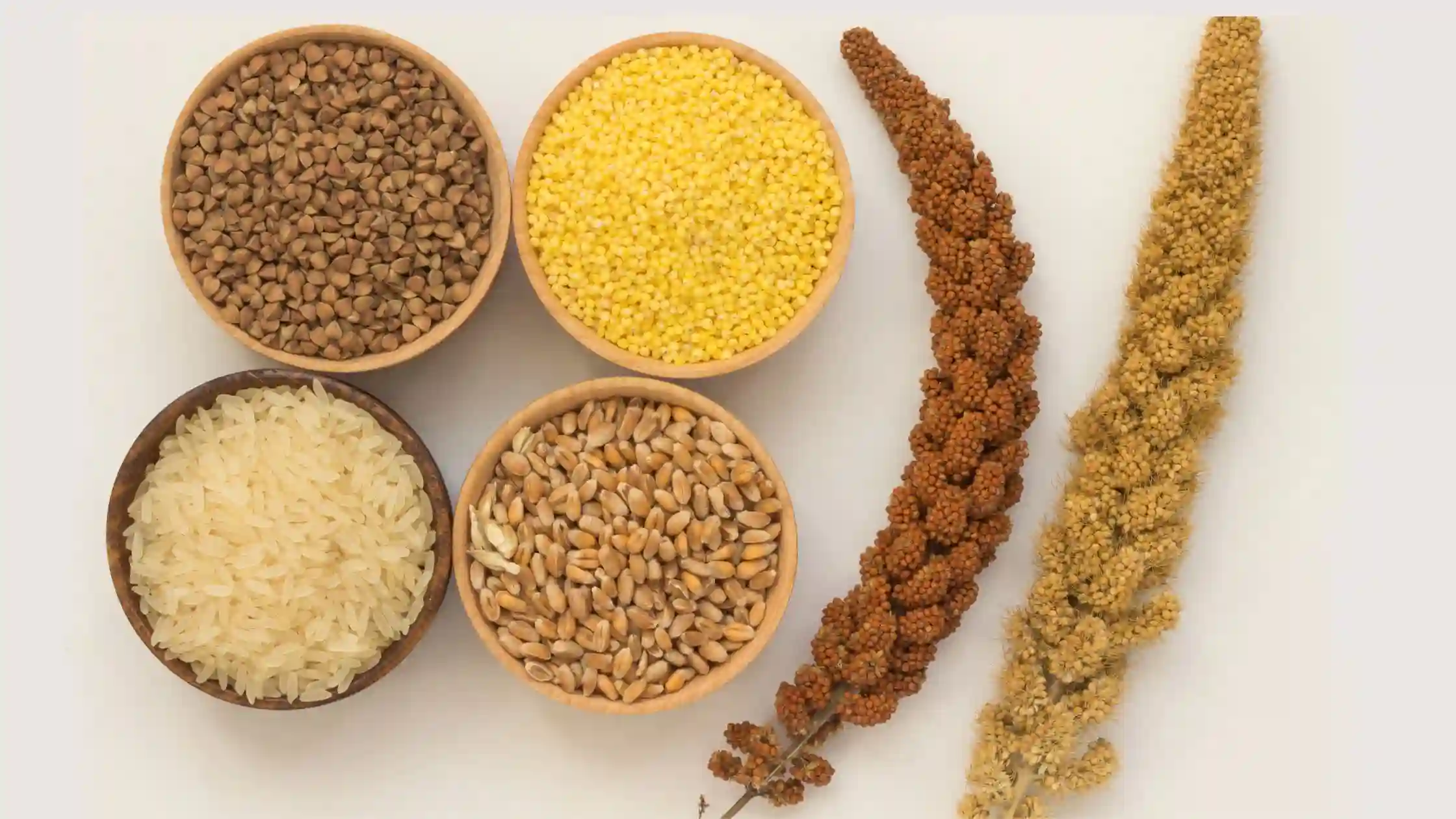 Millet Based Food Products