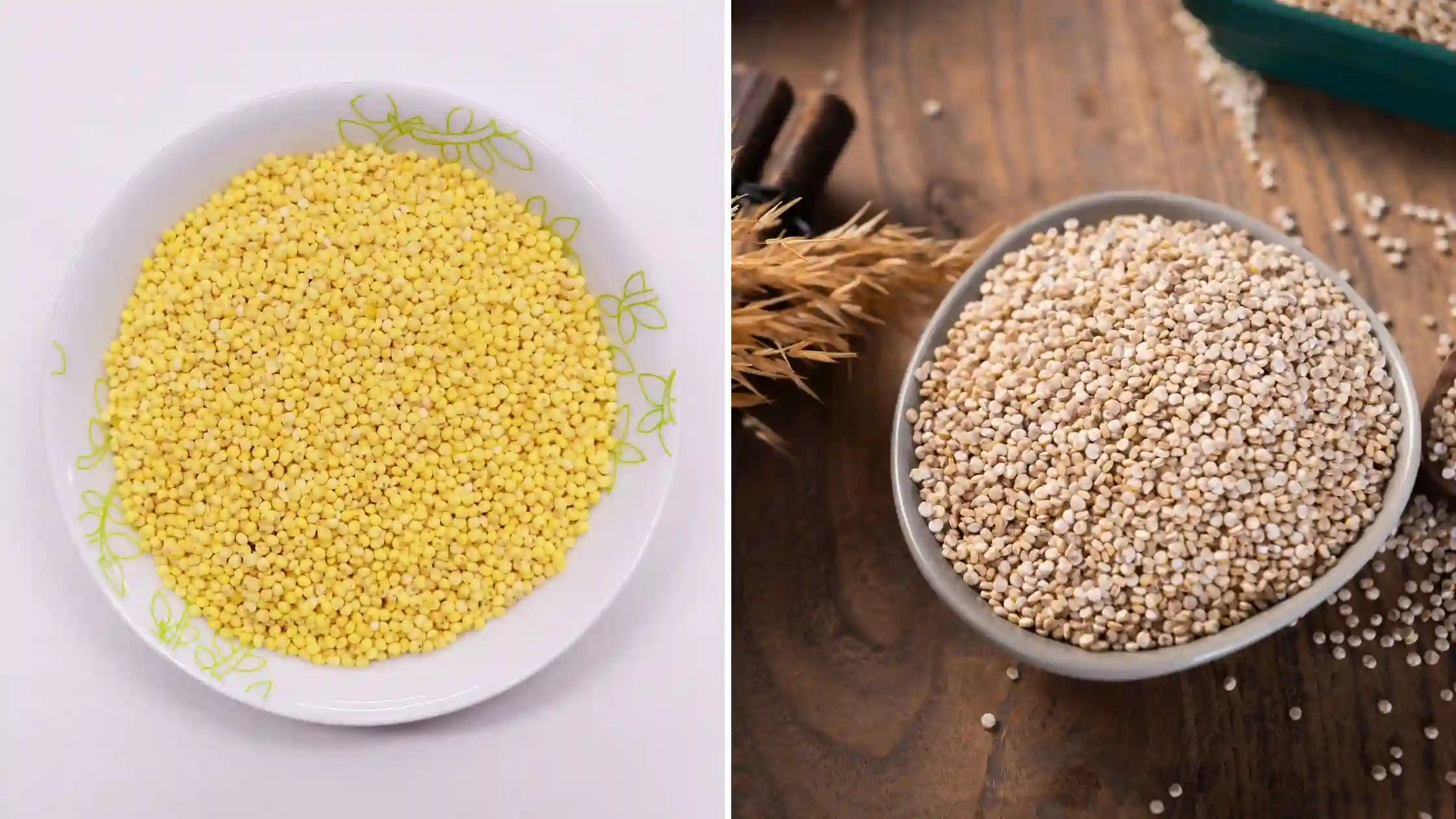 Millet vs Quinoa