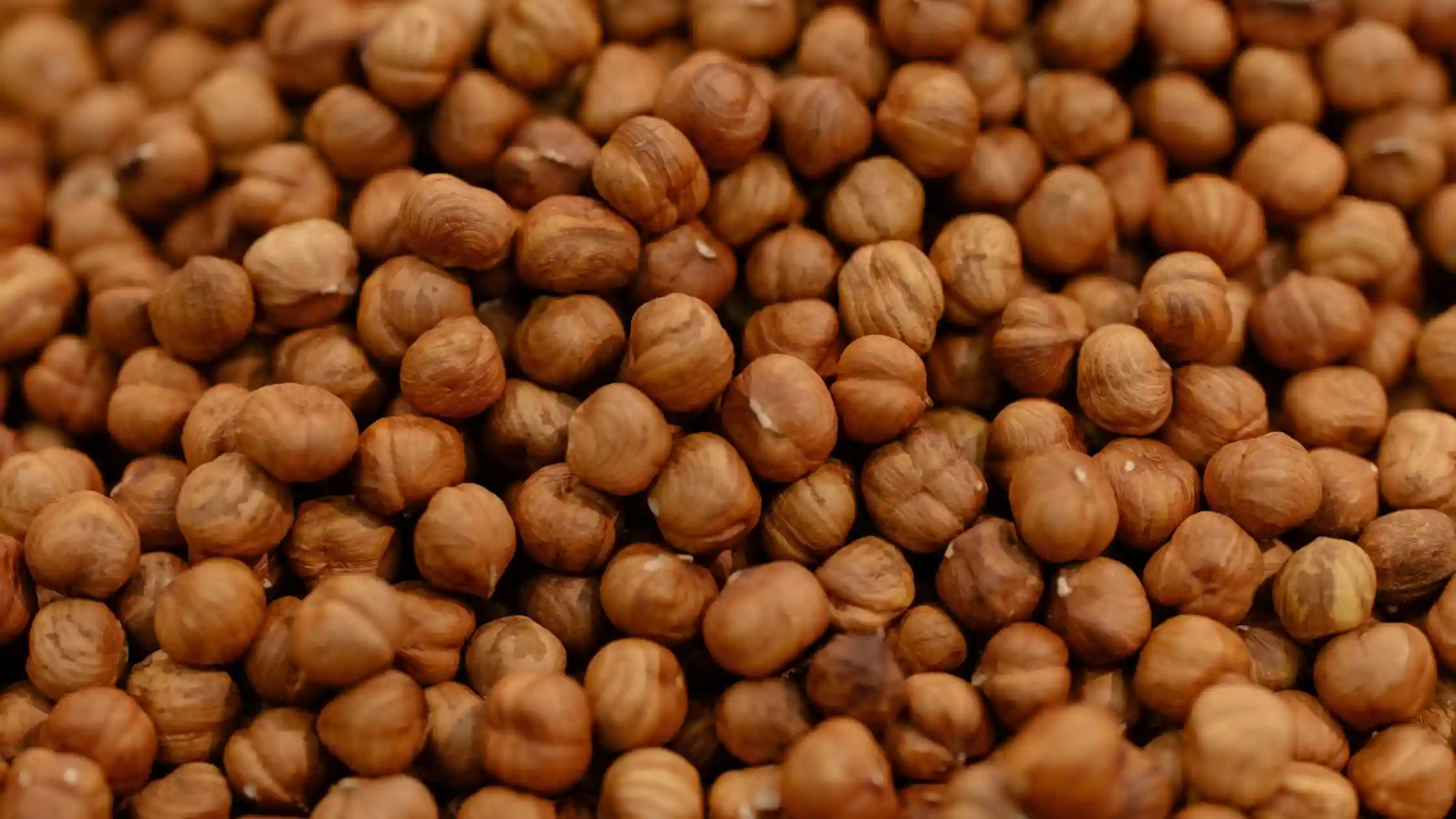 Chana Protein Per 100g